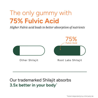 Root Labs Pure Himalayan Shilajit Gummies – 120 Count, Vegan & Sugar-Free Gummy Supplement with KSM-66 Ashwagandha, Gokshura, Ginseng & Black Musli – Energy, Vitality & Testosterone Support